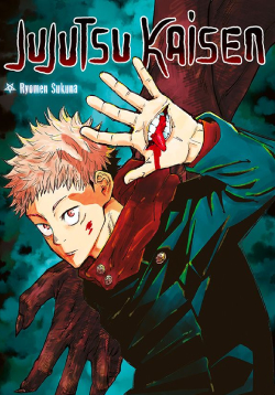 Jujutsu Kaisen DE Cover Image